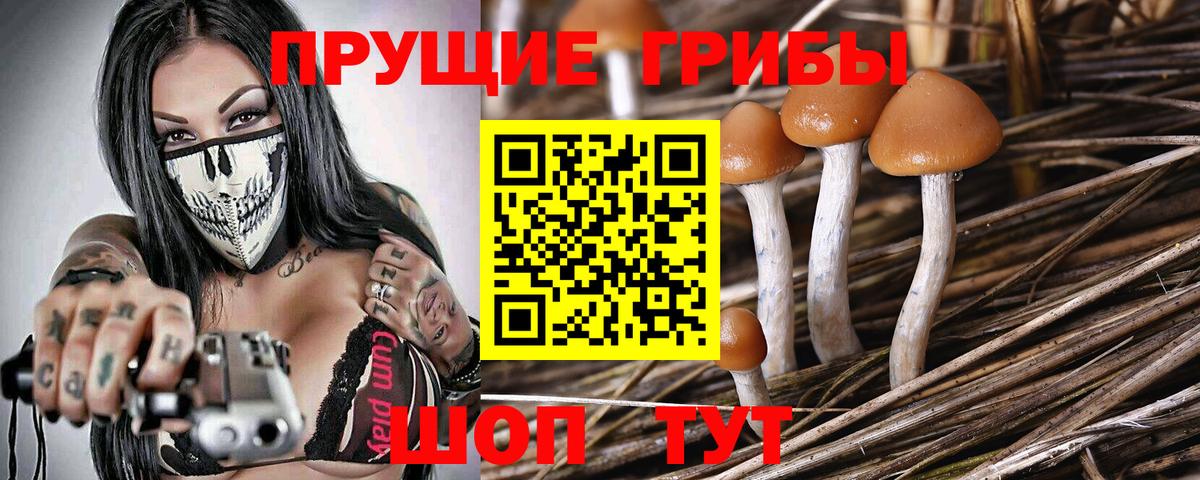 Клин  Галлюциногенные грибы MAGIC MUSHROOMS  Псилоцибиновые грибы ЛСД  Вход с VPN 